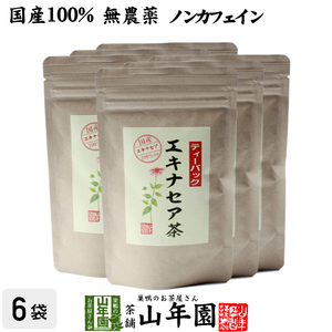 健康茶 国産100% エキナセア茶 2g×10パック×6袋セット ノンカフェイン 鳥取県または熊本県産 無農薬 送料無料