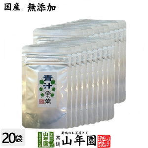 健康茶 青汁 国産 桑の葉 15g×20袋セット 粉末 お試し 日本茶 送料無料