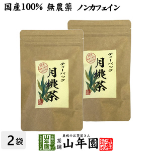 健康茶 国産100% 月桃茶 2g×20パック×2袋セット ティーパック ノンカフェイン 沖縄県産 無農薬 月桃水 送料無料