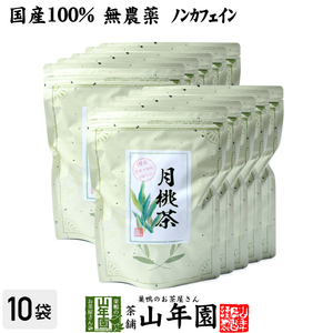 健康茶 国産100% 月桃茶 50g×10袋セット 沖縄県産 無農薬 ノンカフェイン 月桃水 送料無料