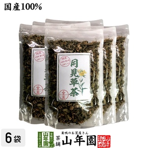 お茶 健康茶 国産100% 月見草茶 無添加 70g×6袋セット 宮崎県産 送料無料