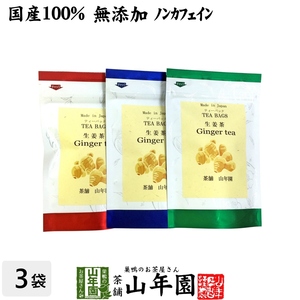 健康茶 国産100% 生姜茶 ジンジャーティー 2g×5パック×3袋セット 熊本県産 送料無料