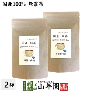 お茶 日本茶 紅茶 国産100% 巣鴨のお茶屋さんの紅茶 2g×15パック×2袋セット ティーパック ティーバッグ 静岡県産 送料無料