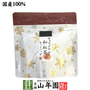 お茶 日本茶 紅茶 国産100% キャラメルの和紅茶 ティーパック 2g×5包 ティーバッグ 送料無料