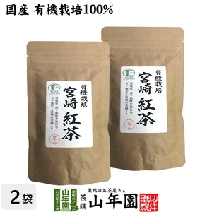 お茶 日本茶 紅茶 国産 100% 宮崎紅茶 50g×2袋セット リーフ 送料無料
