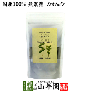 健康茶 国産100% ペパーミントティー ハーブティー 2g×15パック ノンカフェイン 送料無料