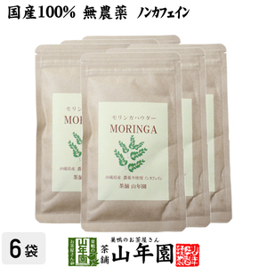 健康食品 国産 無農薬 モリンガパウダー 粉末 30g×6袋セット 沖縄県産 スーパーフード 送料無料