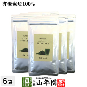 健康食品 無農薬 スピルリナ パウダー 100% 60g×6袋セット 粉末 スーパーフード ダイエット 海藻 送料無料