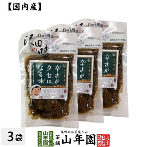 沢田の味 ピリ辛白うりしょうが漬 100g×3袋セット 国産原料使用