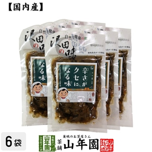 沢田の味 ピリ辛白うりしょうが漬 100g×6袋セット 国産原料使用