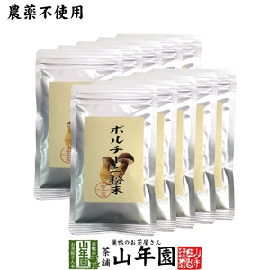 [ genuine Italy production less pesticide 100%]poruchi-ni.. powder 40g×10 sack set free shipping 