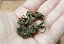 健康茶 国産100% 甘茶 50g 無添加 福岡県産 花祭り 送料無料_画像5