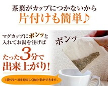 健康茶 ごぼう茶 ティーバッグ 2.5g×25パック×10袋セット 国産 ティーパック 送料無料_画像4