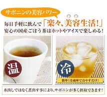 健康茶 ごぼう茶 ティーバッグ 2.5g×25パック×10袋セット 国産 ティーパック 送料無料_画像5