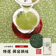 お茶 日本茶 煎茶 日本茶 お茶 茶葉 特選指宿頴娃 100g×3袋セット 送料無料_画像2