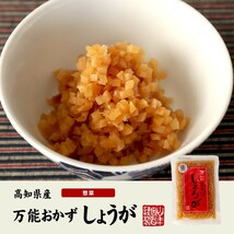 惣菜 おかず生姜 国産 万能おかず生姜 130g 送料無料_画像2