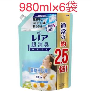 レノア 超消臭1WEEK 柔軟剤 部屋干し 花とおひさまの香り 詰め替え 特大(980ml 6袋セット)【レノア超消臭】