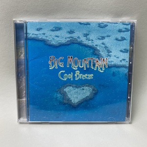 帯付 BIG MOUNTAIN / COOL BREEZE レゲエ CD アルバム REGGAE 英語・日本語歌詞付 【再生確認済】送料無料 #R74