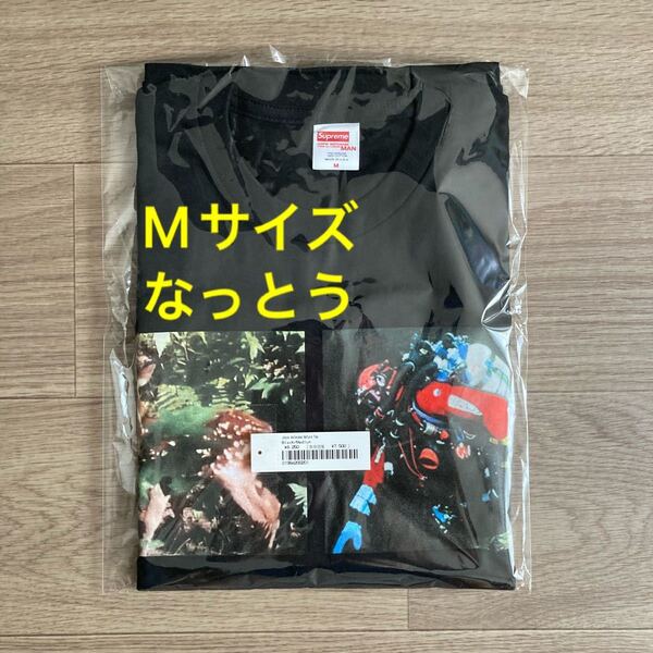 【Mサイズ】Supreme JUNYA WATANABE COMME des GARCONS MAN Nature Tee