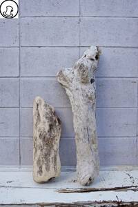 SEASIDEinterior☆短め流木の2本セット,Cool driftwood for decorating 10