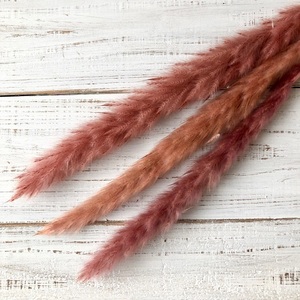  tail Lead 3 pcs set antique pink dry flower material for flower arrangement that way interior .swag photographing properties etc. 