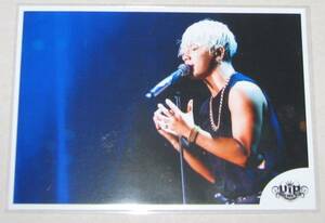 〓 BIGBANG SOL[a-nation’15] 生写真 B