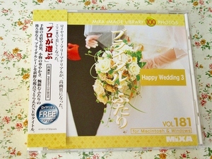 e/マイザ素材集MIXA IMAGE LIBRARY181 ブライダル・ふたり結婚式