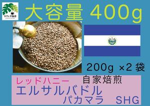 自家焙煎珈琲 エルサルバドル パカマラSHG レッドハニー 400g 珈琲