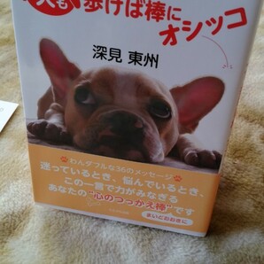深見東洲の言葉シリーズ 犬も歩けば棒にオシッコ