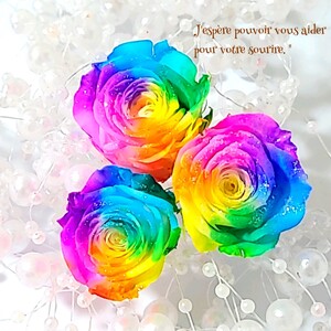 加工花材* 新色 レインボー ローズ プリザーブドフラワー 花材