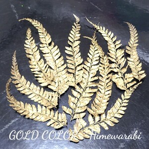 加工花材* GOLD ヒメワラビ プリザーブドフラワー 花材