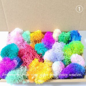 加工花材* SALE ① モス プリザーブドフラワー 花材