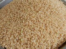 完全 無農薬 有機栽培 無除草剤 3キロ『一等米』令和3年 新米 コシヒカリ玄米 発芽玄米になります 農家直送　精米無料 送料無料_画像2