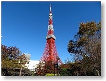 オリジナル フォト ポストカード 2021年11月12日 青空の東京タワー 風景写真 Vol.9_画像1
