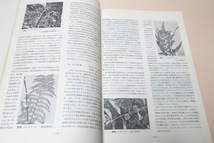 山口の生物/非売品/本県は古生代から新生代に至る各種の地層に恵まれ我国の代表的な地層があり古生物学の上でも極めて特色ある地域である_画像6