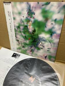 PROMO with belt LP!Yas-Kaz / Shinran Path To Purity parent . white road Canyon C28Y0251 sample record AMBIENT NEW AGE EXPERIMENTAL EITETSU HAYASHI OBI