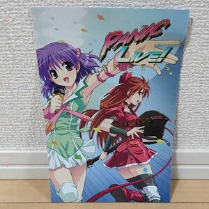 PS2 (プレイステーション) レッスルエンジェルス サバイバー2 初回限定版 歌詞冊子のみ
