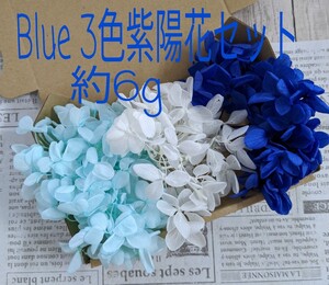 Blue3色ピラミッドアジサイ☆約6g