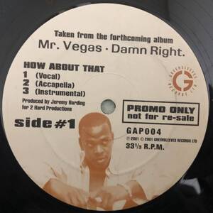 DANCEHALL RAGGAE / PROMO ONLY / MR.VEGAS / HOW ABOUT THAT / GAL THEM / 2001 RAGGAE