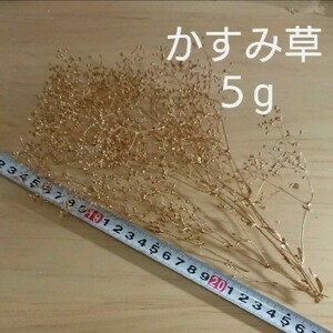 かすみ草 カスミ草 ゴールド プリザーブド ドライフラワー ハンドメイド はなかんむり スワッグ 髪飾り スワッグ 花束 リース