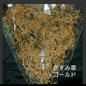かすみ草 カスミ草 ゴールド プリザーブド 花材 ドライフラワー ハーバリウム 髪飾り はなかんむりスワッグ 大地農園