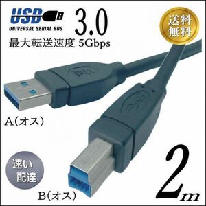 USB3.0 ケーブル A(オス)-B(オス) 2m 高速転送 5Gbps プリンタや外付けHDDの接続などに使用します 3AB20【送料無料】
