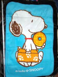  not for sale * mistake do* Snoopy * blanket * Sky blue * remainder 1