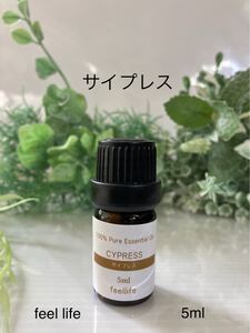 サイプレスエッセンシャルオイル5ml●100%ピュア●ウッド系●同梱6本まで同一送料です●
