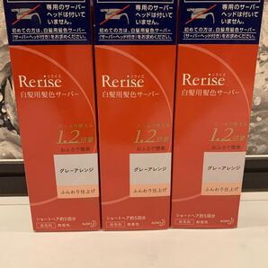 最安値 リライズ 白髪用 髪色サーバーグレー アレンジ ふんわり仕上げ 詰替用
