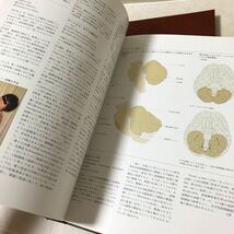 し37 整形外科大事典1 講談社 アイソキネティックトレーニング 医学 x線 手術 術後 運動療法 ウィリアムズ体操 痛み 鎮痛 治療 異常感覚_画像5