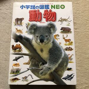 動物 小学館の図鑑NEO1/三浦真悟 (著者)