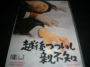 DVD 越後つついし親不知 今井正 佐久間良子 小沢昭一 三国連太郎 東野英治郎 水上勉 東映 国内 正規セル盤