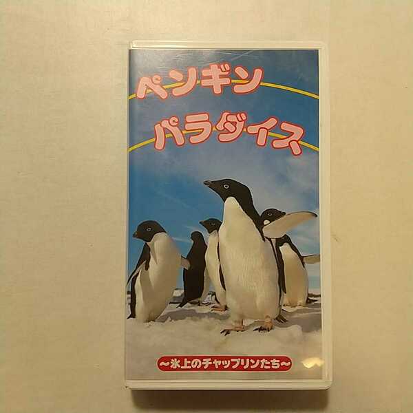 森下裕美 zaa-zvd14♪ペンギンパラダイス～氷上のチャップリンた [VHS]ビデオ 1993/7/21 25分