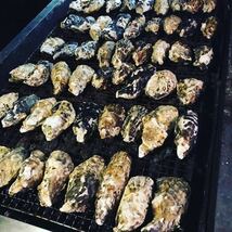マル勇水産 伊勢志摩 名産 浦村牡蠣　生食可　Mサイズ　殻付き70個セット　カキ かき 牡蠣 お取り寄せ oyster おうち時間_画像9